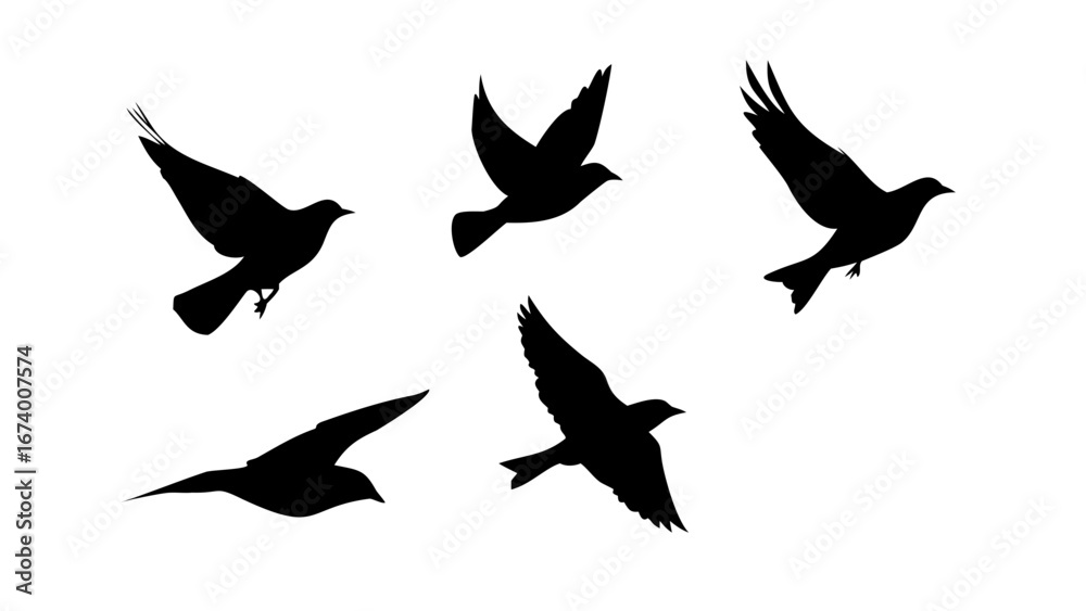 Fototapeta premium Flock of Crows in Flight Silhouette bird flying