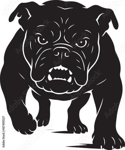 Australian bulldog silhouette art front facing aggressive pose