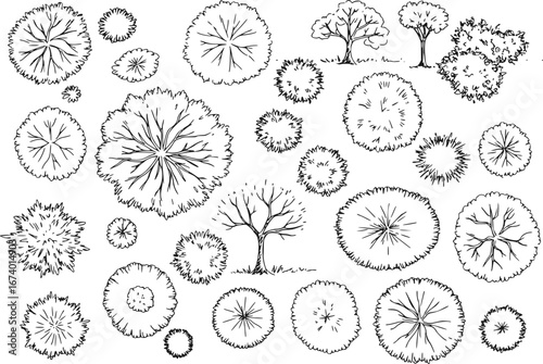 Set of free hand drawn doodle Plan view tree for landscape plan
