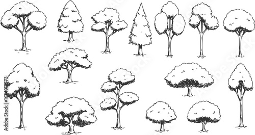 Set of hand drawn architect trees. Sketch Architectural illustration landscape

