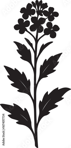 Love story in the mustard flower garden.  সরিষা ফুলের বাগানে প্রেমের গল্প