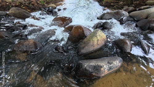 Scenic river with flowing water, rocks, trees, underwater view and sun reflection