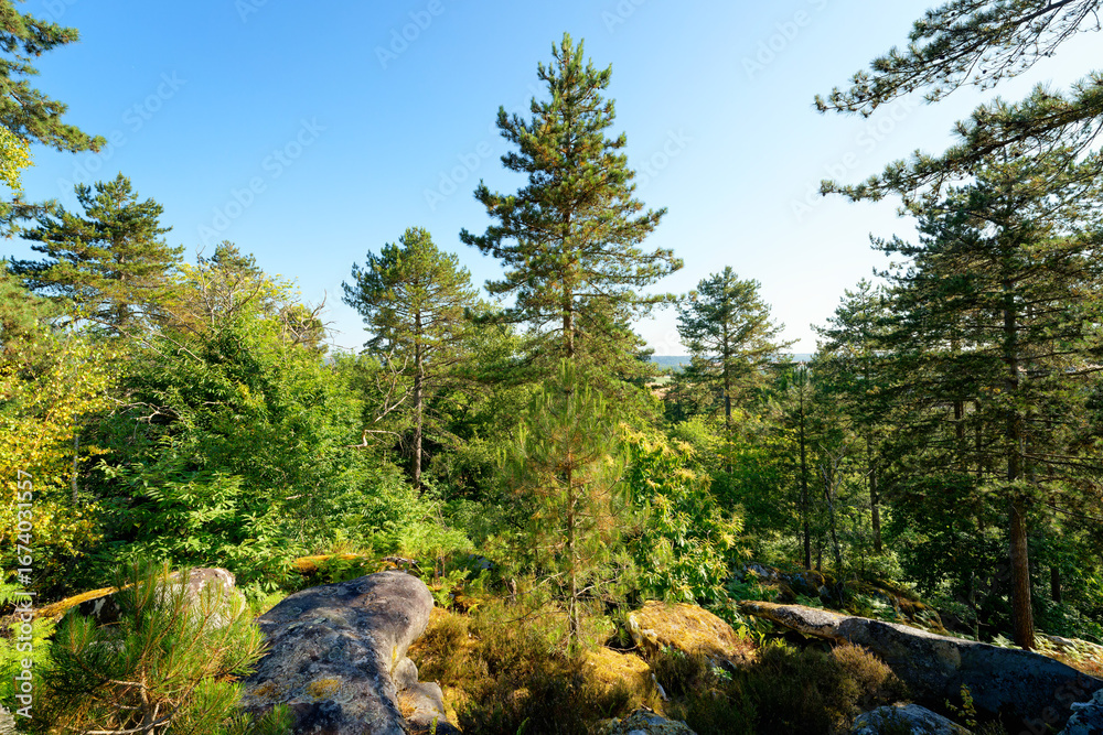 Obraz premium The Horned Rock view on the GR1 Hiking trail. D'Huison-Longueville village
