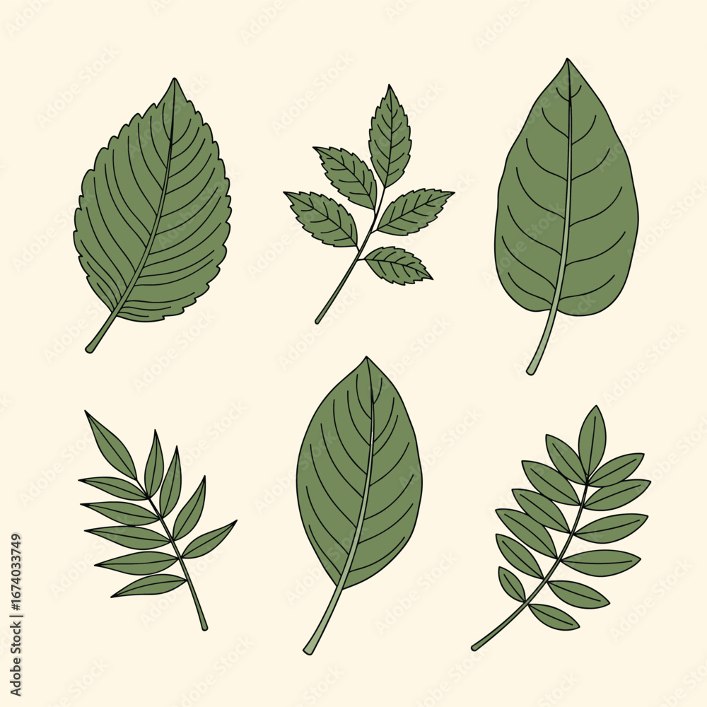 Fototapeta premium Collection of hand drawn green leaf illustrations for nature and botanical designs