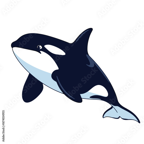 Captivating killer whale orcinus orca ocean marine life predator graceful aquatic mammal ocean dweller ocean giant