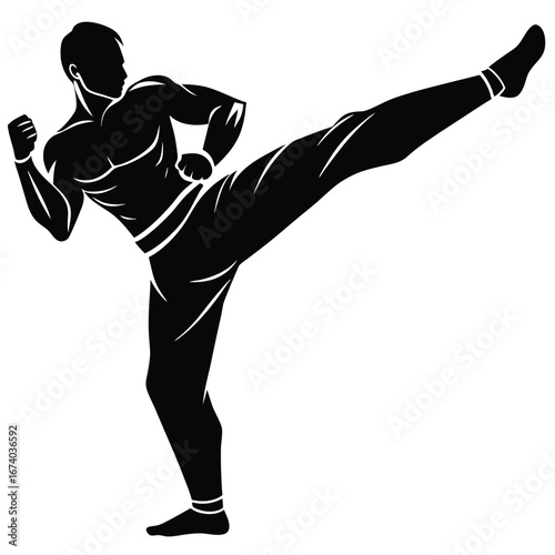 Black silhouette of a man performing a high kick martial arts