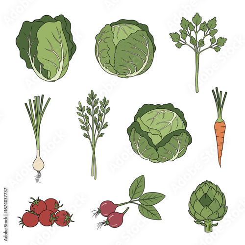 A vibrant collection of fresh garden vegetables and herbs for healthy eating