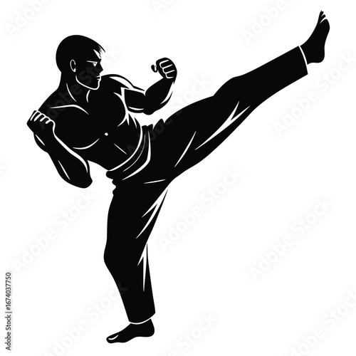 Black silhouette of a man performing a martial arts kick