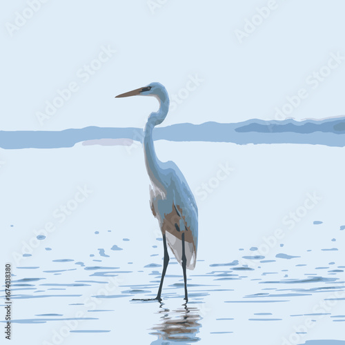 Blue heron standing in shallow water with reflections