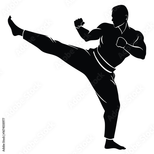 Black silhouette of a man performing a side kick martial arts