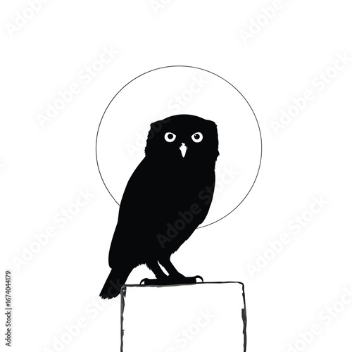 Silhouette of an owl perched on a post against a full moon