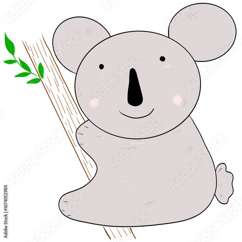 Cute koala