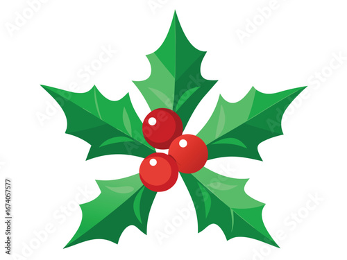 Holly Berry Christmas Decoration with Green Leaves Isolated on White