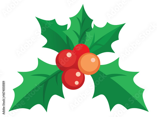 Illustration of Holly Leaves and Berries for Christmas Decoration