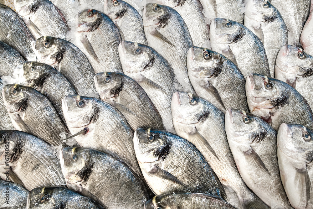 Obraz premium fresh raw fish on ice at the supermarket