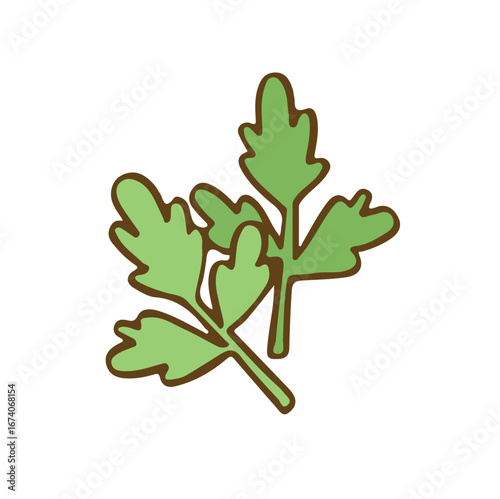 Seasonings herbs parsley color cartoon