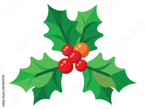 Christmas Holly Sprig with Red and Orange Berries Illustration