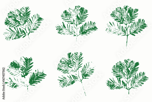 Christmas spruce branches imprint, grunge style, vector decorative elements, isolated green foliage for holiday design
