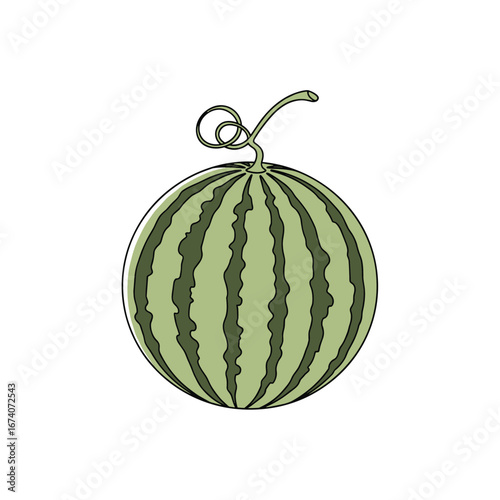 A fresh watermelon isolated on a white background with green stripes and a curly stem