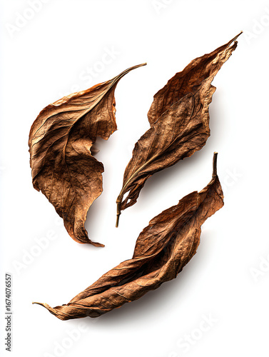 Tobacco leaf arranged artistic composition