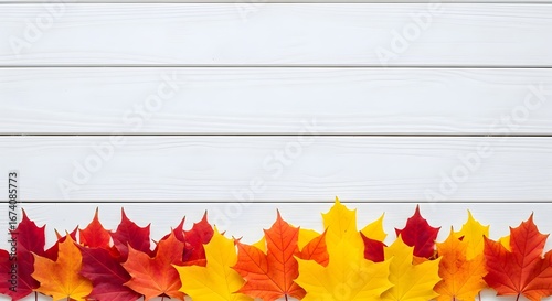 A colorful border of vibrant red, orange, and yellow maple leaves arranged along the bottom edge of a clean white wooden plank background