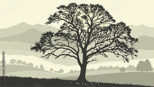Silhouette of a majestic tree in a landscape with rolling hills and mountains.
