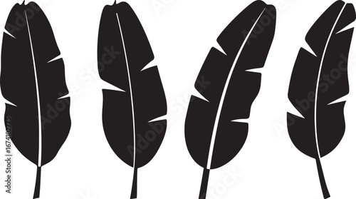 Four stylized black feather silhouettes with detailed vein patterns isolated on white background silhouette
