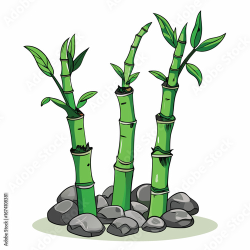 Green bamboo stalks with leaves and stones vector
