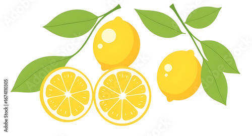 lemon isolated, tropical fruit, lemon tree fruit, juicy lemon, healthy lemon, vitamin C fruit, lemon clipart, lemon vector, ripe lemon, lemon branch, natural lemon, lemon illustration, lemon cut with 