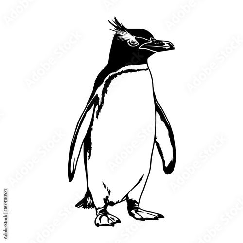 Majestic rockhopper penguin illustration perfect for wildlife and conservation projects vector origin scalable
