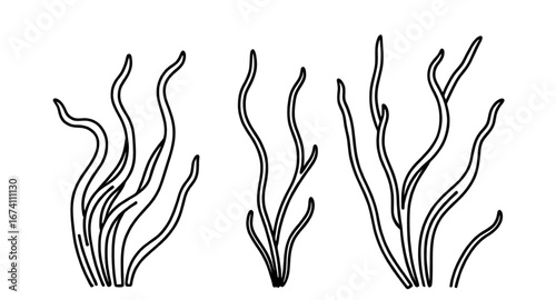 coral reef stylized drawing, reef fine line drawing, coral reef design element, coral pencil sketch, coral reef simple drawing, coral graphic illustration, reef underwater doodle, coral reef art sketc