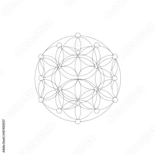 Geometric pattern of interconnected circles and lines forming a symmetrical design viewed from directly above