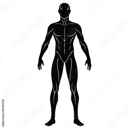 Black Silhouette of Muscular Male Body with White Outline 1