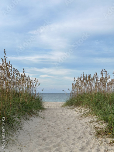 Fotografija A peaceful sandy path winds through tall sea oats and coastal grasses, opening to a calm ocean horizon beneath a soft blue sky