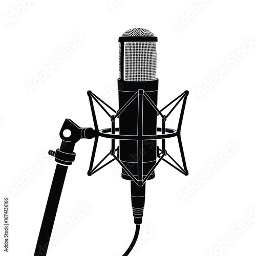 Professional studio condenser microphone on a stand
