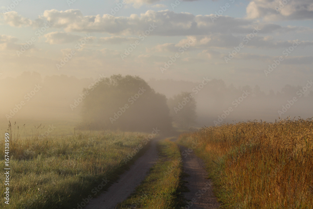 Fototapeta premium Misty Country Road at Sunrise