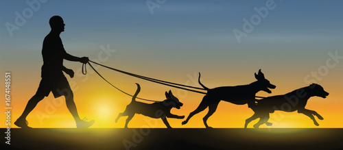 Man holding leashes while walking with dogs side view black silhouette during evening sunset sky background.