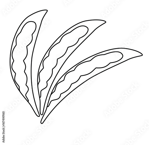 cure cartoon hand drawn vector green beans outline.