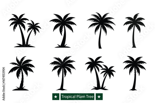 Set of Tropical palm tree  silhouette vector , Tropical palm tree silhouette vector  bundle 