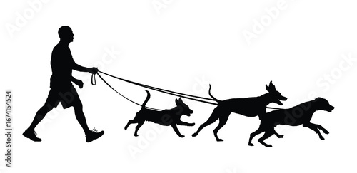 Man walking three dogs on leashes outdoors side view vector black silhouettes. Pet owner dog walker holding on leashes walking outside flat silhouette illustration.