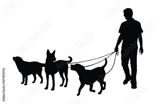 Man with dogs walking outdoors vector silhouette isolated on white background.