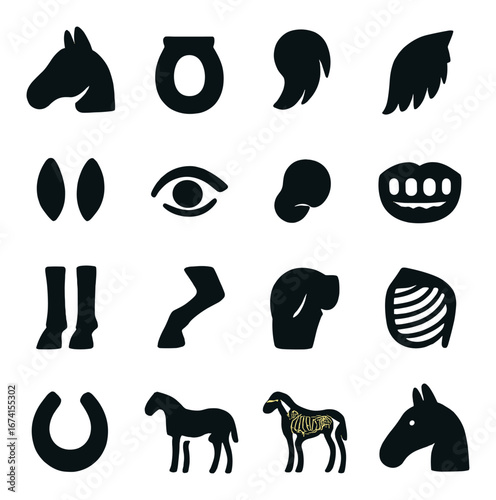Silhouette horse icon set featuring head, hoof, tail, eye, ear, mane, teeth