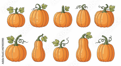 Pumpkins arranged in a row, showcasing various shapes and sizes against a white backdrop, evoking the autumn harvest season.