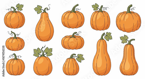 Various orange pumpkins of different shapes and sizes arranged in a row, showcasing the diversity of autumn harvest, creating a festive and bountiful atmosphere.