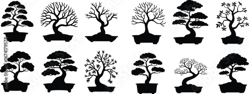 Vector collection of bonsai tree silhouettes in pots, various miniature Japanese trees, artistic black and white hand-drawn style for design projects.