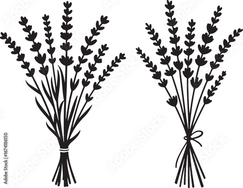 Title
Two elegant black and white silhouettes of fragrant lavender bouquets, tied with string and perfect for design.

