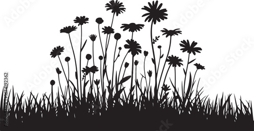 Wildflower and Daisy Meadow Silhouette: A Detailed Botanical Graphic

