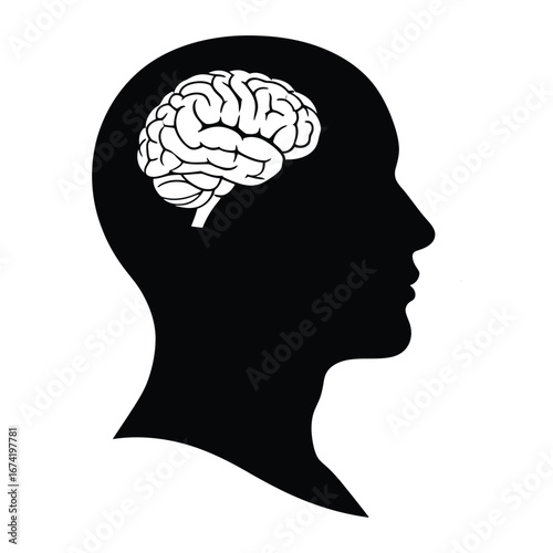 Silhouette of human head profile with detailed brain illustration inside vector