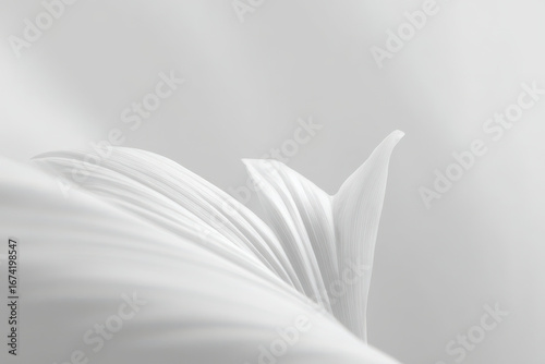 create stunning ultraclean background featuring superthin lines that complement single focal object