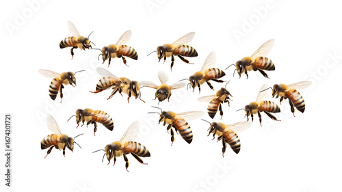 Buzzing honey bees in flight nature scene insect photography